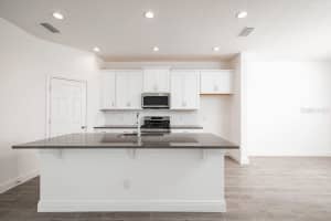 401 SWITCHGRASS LOOP, MINNEOLA, FL 34715 Sold 11/29/24