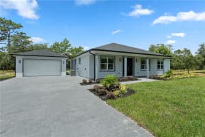 42315 SAFFRON COURT, EUSTIS, FL 32736 Sold 09/19/24