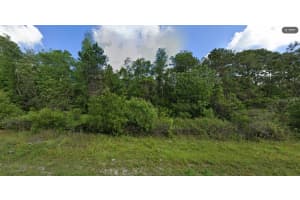 DEEN STILL RD, POLK CITY, FL 33868 - MLS#MFRO6228699