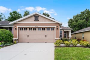 21746 BELGIAN COURT, MOUNT DORA, FL 32757 Sold 11/20/24