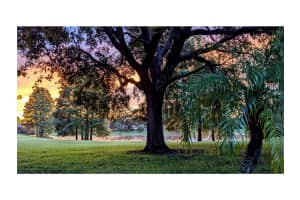 4204 WILLOW BAY DRIVE, WINTER GARDEN, FL 34787 Sold 10/01/24