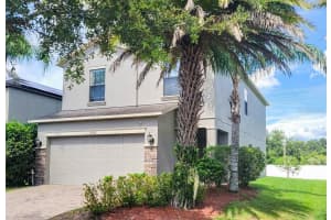 19907 SATIN LEAF AVENUE, TAMPA, FL 33647 Sold 12/23/24