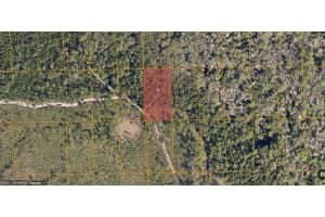 NECTARINE RD, DELAND, FL 32724 - MLS#MFRO6230385