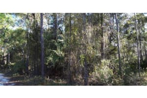 12TH AVE, DELAND, FL 32724 - MLS#MFRO6230390