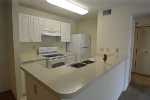 4115 CHATHAM OAK COURT, TAMPA, FL 33624 Sold 11/20/24