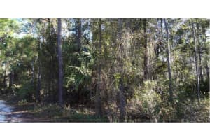 12TH AVE, DELAND, FL 32724 - MLS#MFRO6230402