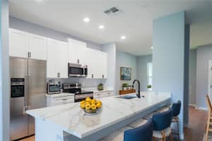 314 STANLEY BELL DRIVE, MOUNT DORA, FL 32757 Sold 11/25/24
