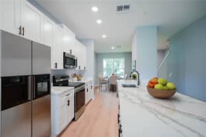 314 STANLEY BELL DRIVE, MOUNT DORA, FL 32757 Sold 11/25/24