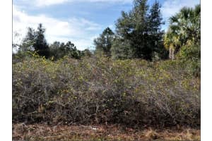 1771 - PORT CHARLOTTE SUB 45 DR, NORTH PORT, FL 34288 - MLS#MFRO6230761