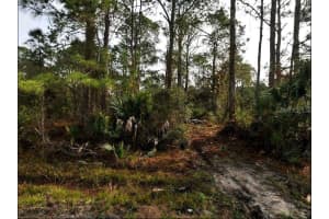 1581 - PORT CHARLOTTE SUB 27 AVE, NORTH PORT, FL 34291 - MLS#MFRO6230816