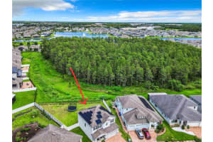 2404 RIVERBANK COVE, KISSIMMEE, FL 34741 Sold 05/07/25