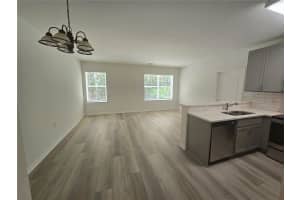 133 GLASS ONION DRIVE, HOWEY IN THE HILLS, FL 34737 Sold 11/18/24