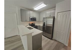 133 GLASS ONION DRIVE, HOWEY IN THE HILLS, FL 34737 Sold 11/18/24