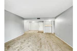 14107 MOSSY GLEN LANE, TAMPA, FL 33613 Sold 04/14/25