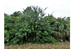 1779 - PORT CHARLOTTE SUB 47 RD, NORTH PORT, FL 34288 - MLS#MFRO6231375