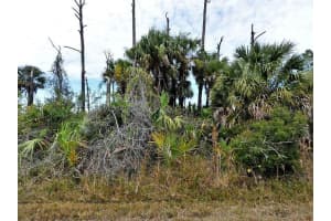 1778 - PORT CHARLOTTE SUB 46 DR, NORTH PORT, FL 34288 - MLS#MFRO6231379