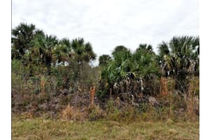1779 - PORT CHARLOTTE SUB 47 RD, NORTH PORT, FL 34288 - MLS#MFRO6231380