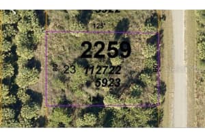 1779 - PORT CHARLOTTE SUB 47 RD, NORTH PORT, FL 34288 - MLS#MFRO6231380
