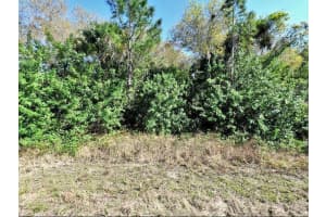 1771 - PORT CHARLOTTE SUB 45 AVE, NORTH PORT, FL 34288 - MLS#MFRO6231381