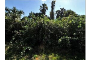 1771 - PORT CHARLOTTE SUB 45 DR, NORTH PORT, FL 34288 - MLS#MFRO6231382