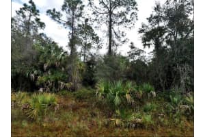 1771 - PORT CHARLOTTE SUB 45 ST, NORTH PORT, FL 34288 - MLS#MFRO6231384