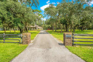 12151 WALKER POND RD, WINTER GARDEN, FL 34787 - MLS#MFRO6231400