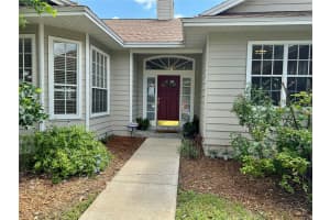 849 HAMMOCKS DRIVE, OCOEE, FL 34761 Sold 10/15/24