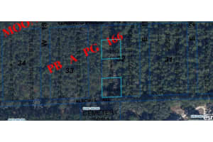 HALF MOON DEVELOPMENT CO., NEWBERRY, FL 32669 - MLS#MFRO6231528