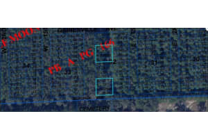 HALF MOON DEVELOPMENT CO., NEWBERRY, FL 32669 - MLS#MFRO6231528