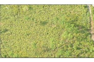 N/A RD, ORLANDO, FL 32820 - MLS#MFRO6231640