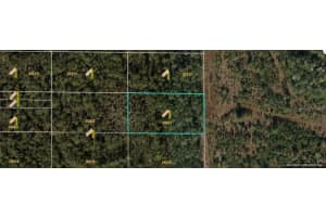 E COLONIAL DR, ORLANDO, FL 32820 - MLS#MFRO6231642