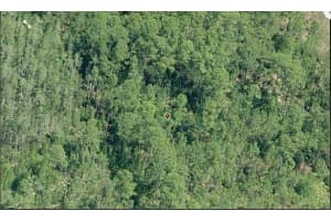 E COLONIAL DR, ORLANDO, FL 32820 - MLS#MFRO6231642