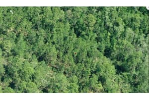 E COLONIAL DR, ORLANDO, FL 32820 - MLS#MFRO6231643