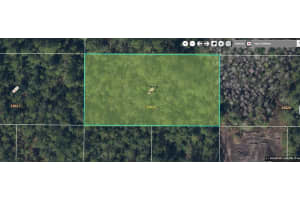 E COLONIAL DR, ORLANDO, FL 32820 - MLS#MFRO6231644