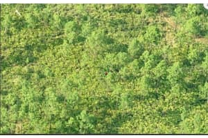 DILL RD, ORLANDO, FL 32820 - MLS#MFRO6231645