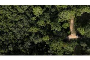 TREASURE ISLAND RD, LEESBURG, FL 34788 Sold 10/29/24