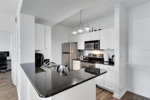 14229 FALLS CHURCH DRIVE, ORLANDO, FL 32837 Sold 01/10/25