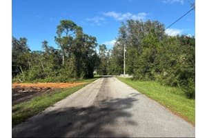 1518 WINTER ROAD, LAKE PLACID, FL 33852 - MLS#MFRO6231972