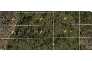 DILL RD, ORLANDO, FL 32820 - MLS#MFRO6231990