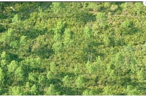 DILL RD, ORLANDO, FL 32820 - MLS#MFRO6231990