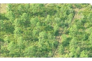 DILL RD, ORLANDO, FL 32820 - MLS#MFRO6231991