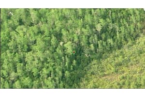 DILL RD, ORLANDO, FL 32820 - MLS#MFRO6232008