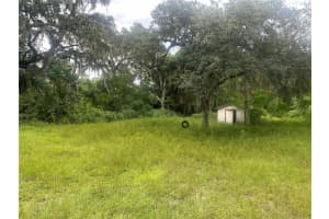 19655 SE HIGHWAY 42, UMATILLA, FL 32784 Sold 10/21/24