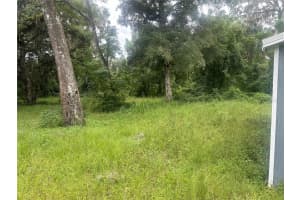 19655 SE HIGHWAY 42, UMATILLA, FL 32784 Sold 10/21/24