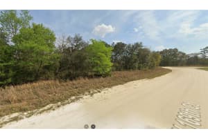 SW 169TH CT, OCALA, FL 34481 Sold 02/20/25