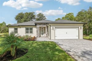 42329 SAFFRON COURT, EUSTIS, FL 32736 Sold 11/18/24