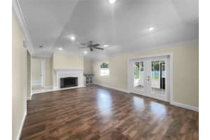 133 TOWERING PINES DRIVE, LAKELAND, FL 33813 Sold 11/04/24