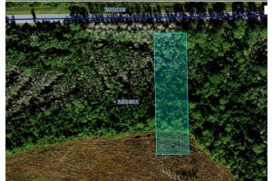 DEEN STILL RD, POLK CITY, FL 33868 Sold 12/20/24