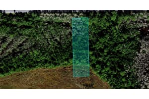 DEEN STILL RD, POLK CITY, FL 33868 Sold 12/20/24