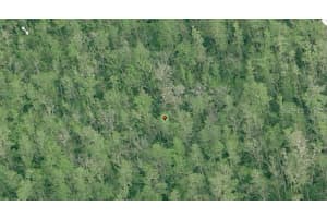 DILL RD, ORLANDO, FL 32820 - MLS#MFRO6233781